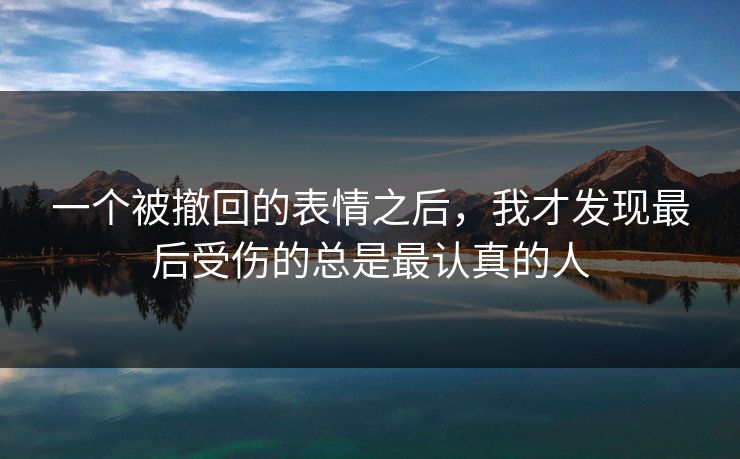一个被撤回的表情之后,我才发现最后受伤的总是最认真的人 一个被撤回的表情之后,我才发现最后受伤的总是最认真的人