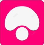 蘑菇影视 - 精品电影合集